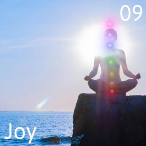 Joy box 09 heldervoelend medium die werkt met kleuren