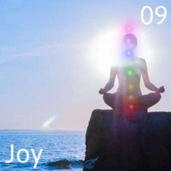 Joy box 09 heldervoelend medium die werkt met kleuren