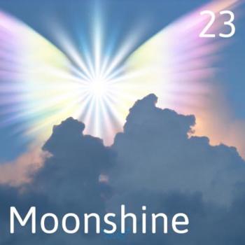 Paragnost Moonshine is heldervoelend en helderwetend en is kundig in de wet van aantrekking.